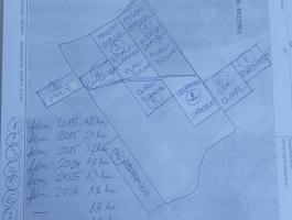 30 hektár termő szőlőültetvény eladó Egerben telephellyel és gépparkkal