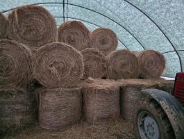 Tárolt széna