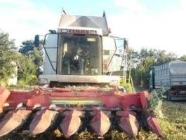 Oros 6 soros orrzúzós, összecsukható kukorica adapter eladó