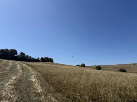 Nagyvisnyó 020/18 hrsz, Natura2000 gyep, 5 ha eladó Nagyvisnyó 020/18 hrsz, Natura2000 gyep, 5 ha eladó