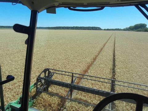 Szántóföldet Bérelnék!