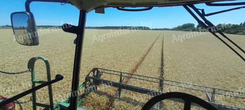 Szántóföldet Bérelnék!