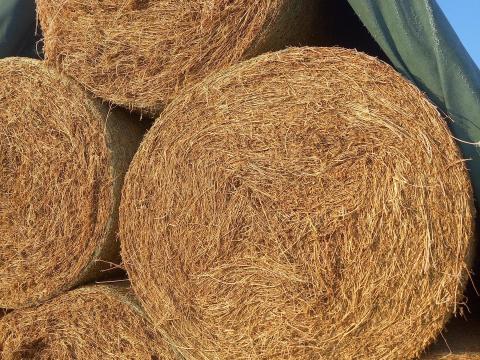 Lucerna bála eladó Lucerna bála eladó