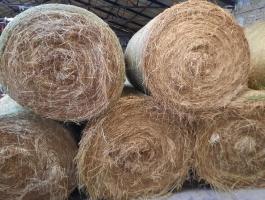 Réti széna körbála 125 x 120 cm