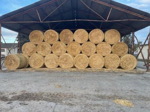 Szalmabála 140 cm átmérőjű eladó