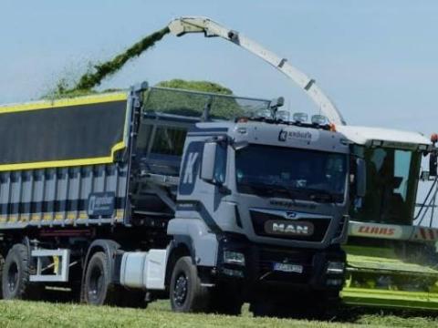 Állattenyésztésben vagy növénytermesztésben sofőrállást keresek T, C, CE jogosítvánnyal