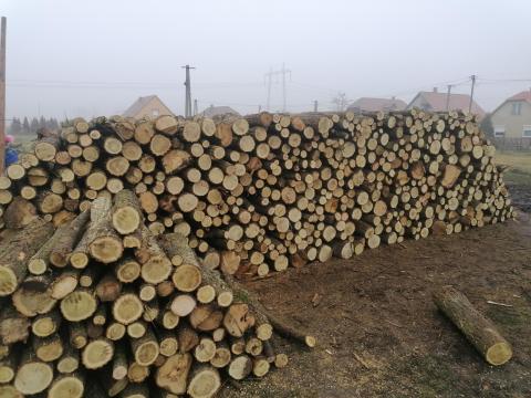 Eladó száraz akác tűzifa