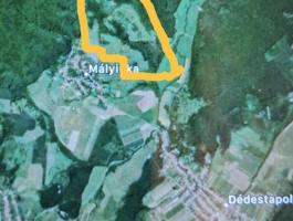 134 ha legelő és erdő eladó Mályinkán