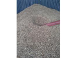 Tisztított fekete zab eladó