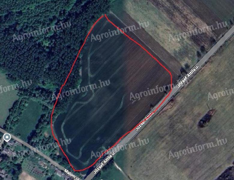 Balaton közeli szántóföld eladó művelésre és építkezésre