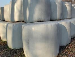 Lucerna szenázs bálák eladók