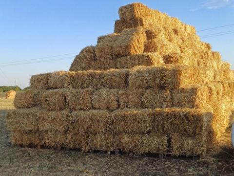 Eladó kockabálás búza szalma