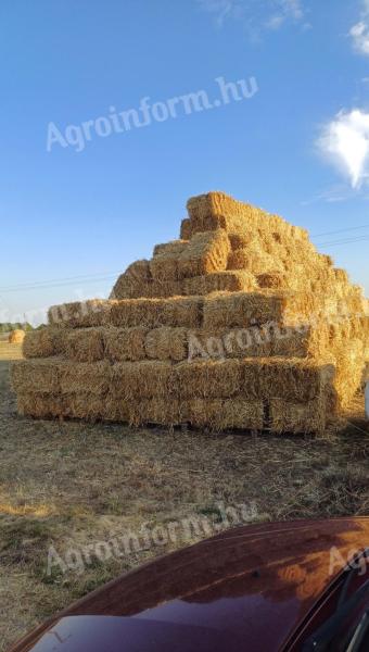 Eladó kockabálás búza szalma