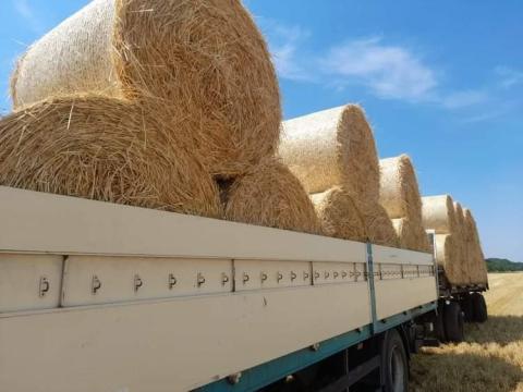 Búzaszalma eladó Búzaszalma eladó