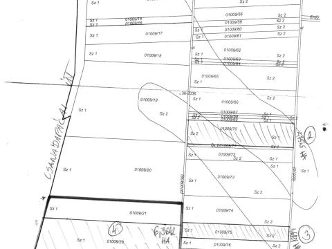 Békéscsaba 12,15 ha szántó eladó Békéscsaba 12,15 ha szántó eladó