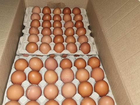 Friss termelői tojás