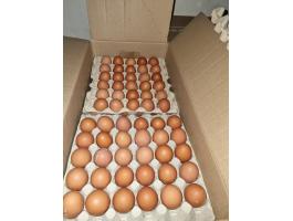 Friss termelői tojás
