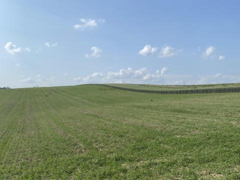 Eladó szántóföld Dudar külterületén, 1,6 ha