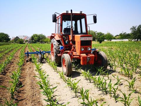 Leták sorközművelő csukható 6 soros Leták sorközművelő csukható 6 soros