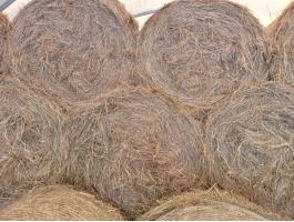 Szénabála fedèl alatt!