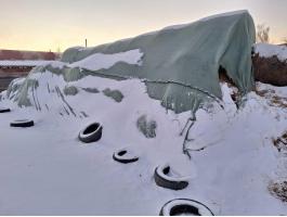 Szénabála kiárusítás