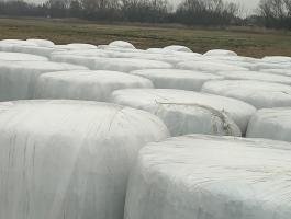 Eladó csomagolt lucerna