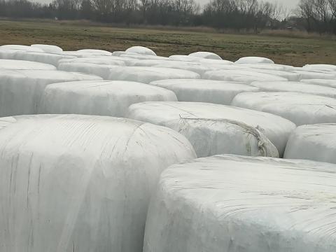 Eladó csomagolt lucerna