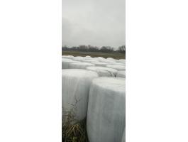 Eladó csomagolt lucerna