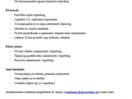 Növénytermesztési ágazatvezető