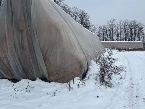 Talart Körbálás szalma Talart Körbálás szalma