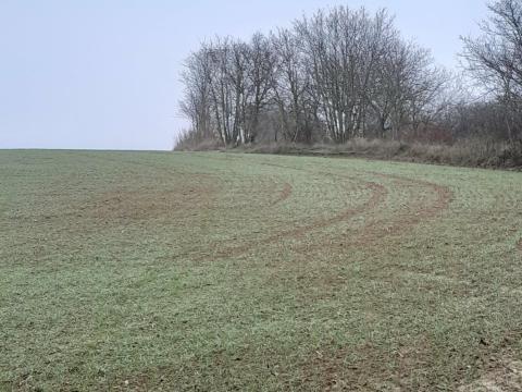 Termőföld eladó Tolna megyében, Értény határában