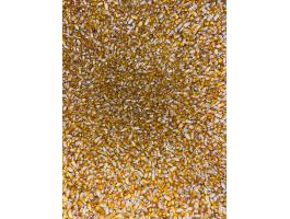 Kukorica, öntözött területről