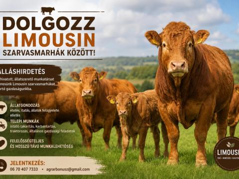 Szarvasmarha tartásban jártas állatgondozót keresünk Hortobágyi munkavégzéssel