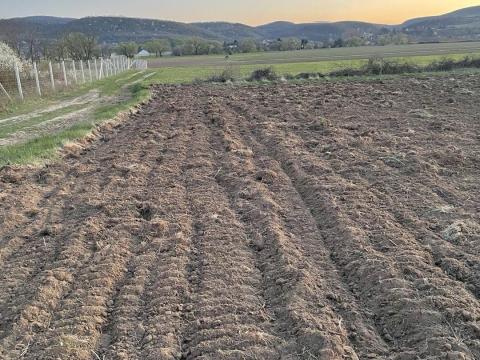 Pilismaróton fél hektáros szántó, Üh1a építési övezetbe sorolt terület panorámás kilátással Pilismaróton fél hektáros szántó, Üh1a építési övezetbe sorolt terület panorámás kilátással