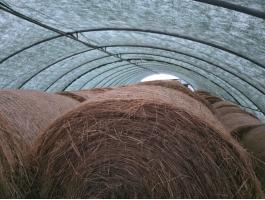 Széna pajtában tárolt