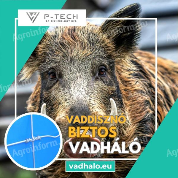 Vadbiztos kerítés, P-Tech vadháló, trapéz drótháló gyártótól