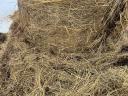 Eladó gyepszéna bála