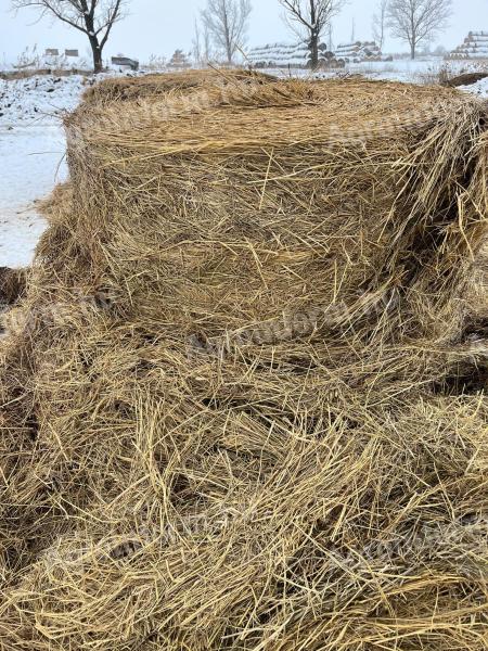 Eladó gyepszéna bála