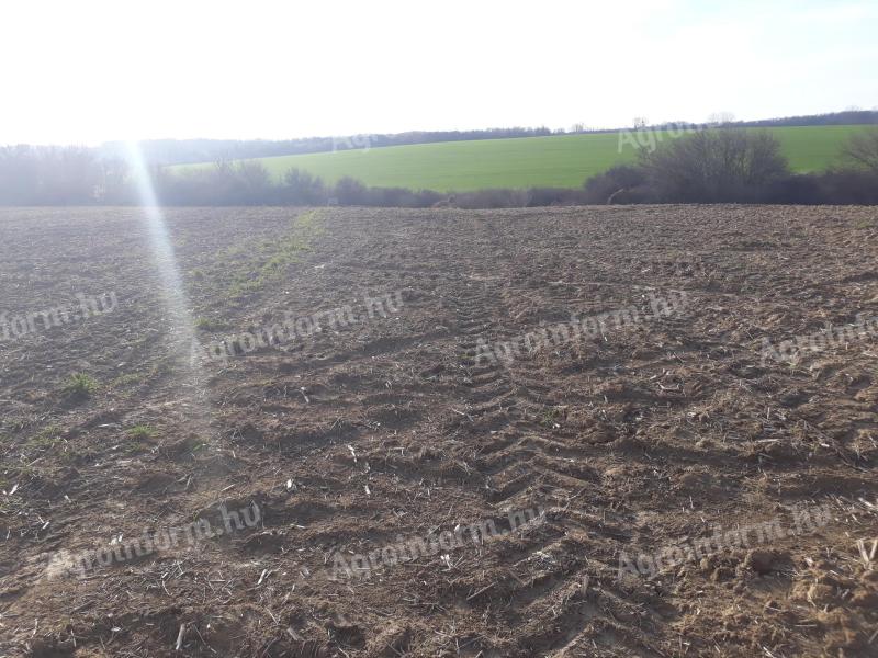 Eladó termőföld
