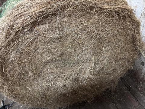 Szénabála eladó Dunakeszin