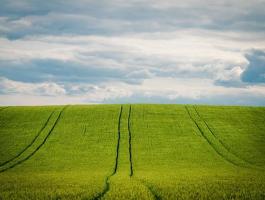 Gabona talajmunka és tápanyagutánpótlási csomag