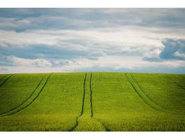 Gabona talajmunka és tápanyagutánpótlási csomag