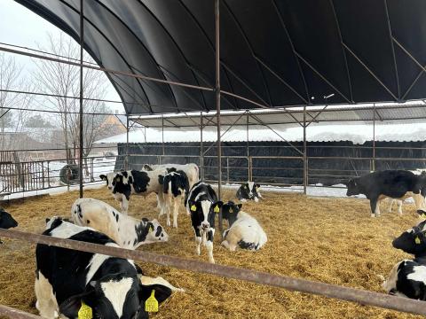 18 db HF bika egyben eladó