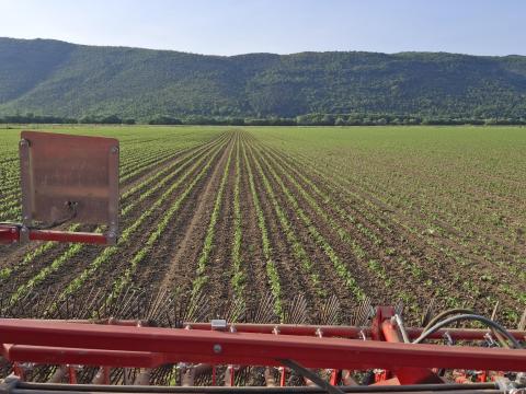 Einböck Aerostar-Rotation rotációs gyomfésű (küllős kapa) újszerű állapotban