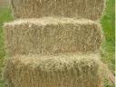 Kis bálás réti széna eladó