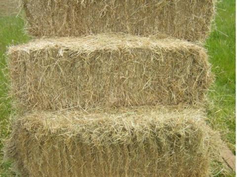 Kis bálás réti széna eladó