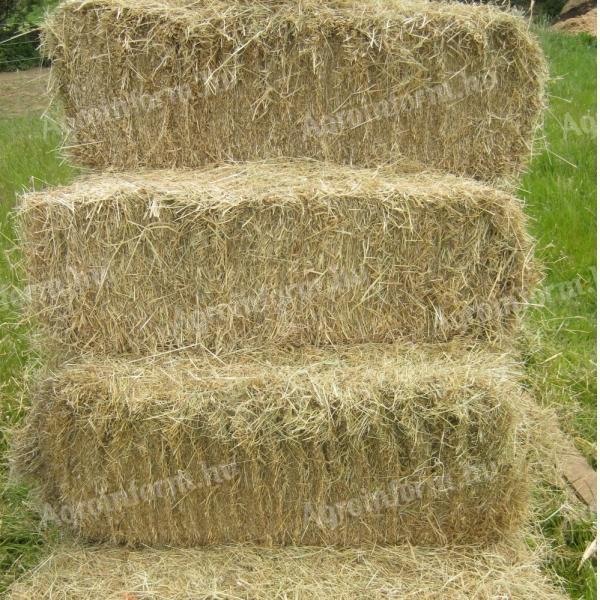 Kis bálás réti széna eladó