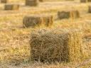 Kis bálás réti széna eladó