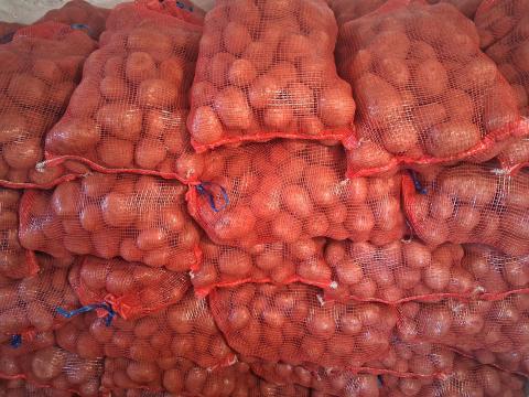 Esmee burgonya eladó 15 kg zsákokban