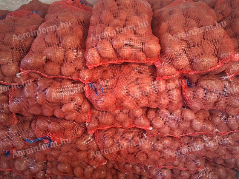 Esmee burgonya eladó 15 kg zsákokban